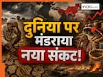 मिडिल ईस्ट जंग के बीच दुनिया पर छाया नया संकट, 11 साल बाद इस फसल की पैदावार में हुई भारी कमी