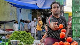 Good news for India! Small businesses grew 80% in 2025 amid global slowdown; Heres what full report says