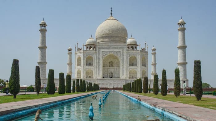 Bakrid special: Tourists can enter Taj Mahal free on Eid al-Adha; Check out timings and rules for entry