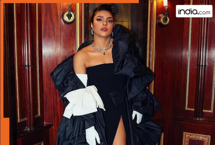 Is Priyanka Chopra Jonas skipping Met Gala 2026? Here’s what we know so far