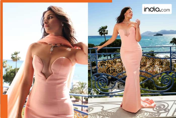 Cannes 2026: Alia Bhatt turns heads on Red Carpet in jaw-dropping Peach Tamara Ralph gown- See pics