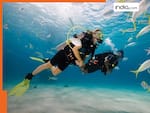 Scuba Diving के लिए विदेश जाने की जरूरत नहीं, भारत में ही इन सस्ती जगहों पर लें मजा