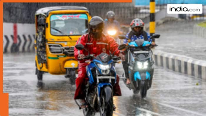 Tamil Nadu Rain alert: Moderate rainfall likely to occur for next four days; Check IMD weather forecast, school reopening dates