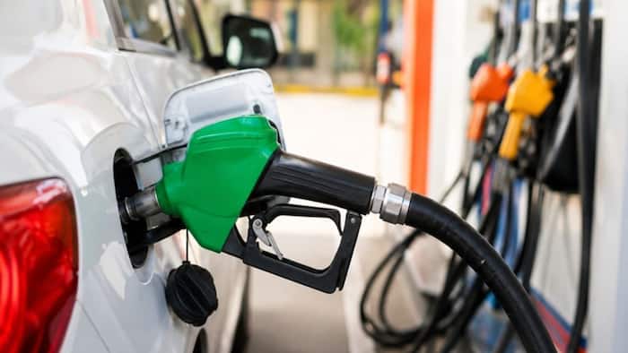 Govt cuts export duties on petrol, diesel, ATF from June 1; keeps domestic taxes unchanged, check revised rates