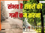 दिल्ली, मुंबई, लखनऊ... शहरों की गर्मी हो जाएगी 50 फीसदी तक कम, वैज्ञानिकों ने बताया क्या होना चाहिए प्लान