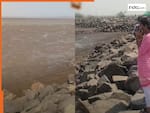गुजरात में अचानक 1000 फीट पीछे हटा समुद्र, कैमरे में कैद हुआ अद्भुत नजारा