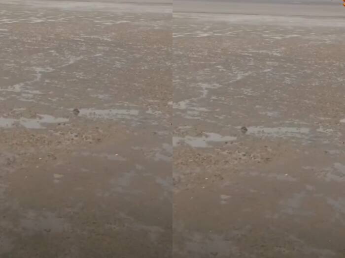 Gujarat Me Achanak Pichhe Hat Gaya Samandar