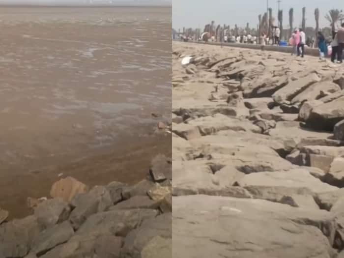 Surat samandar viral video