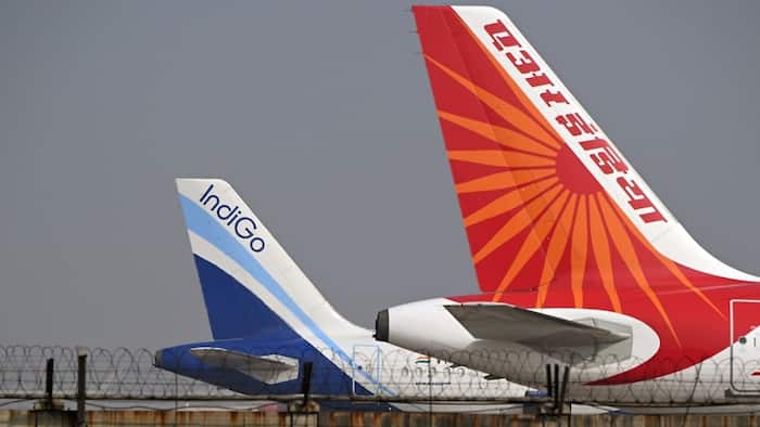 air india indigo
