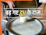 अमूल ने बढ़ाए दूध के दाम, जानें अब आपके शहर में कितने का मिलेगा आधे और एक लीटर का पैकेट?