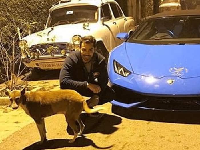 Animal lover prateek yadav