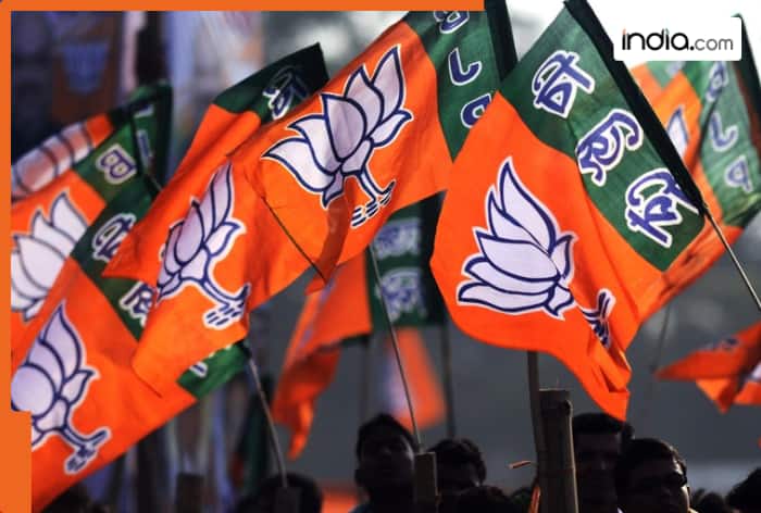 bjp winners list