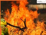कैलिफोर्निया में भड़की जबरदस्त आग, 17 हजार से ज्यादा लोगों को घर छोड़ने का आदेश