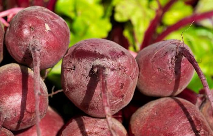 Does eating beetroot with gourd really cause Vitiligo