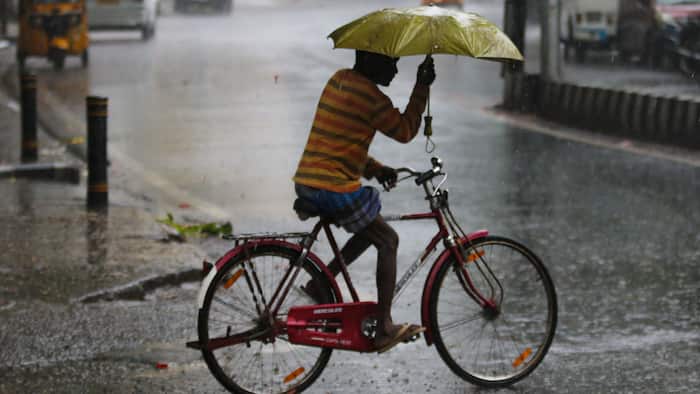 delhi weather