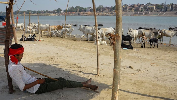 May 28 IMD Weather Forecast: Severe heatwave conditions to continue in Delhi, Punjab, Haryana; Thunderstorms likely in THESE regions