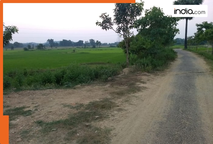 mp plot ias ips