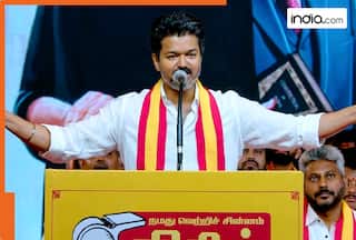 Vijay to become next Tamil Nadu CM as TVK crosses majority mark after VCK's unconditional support