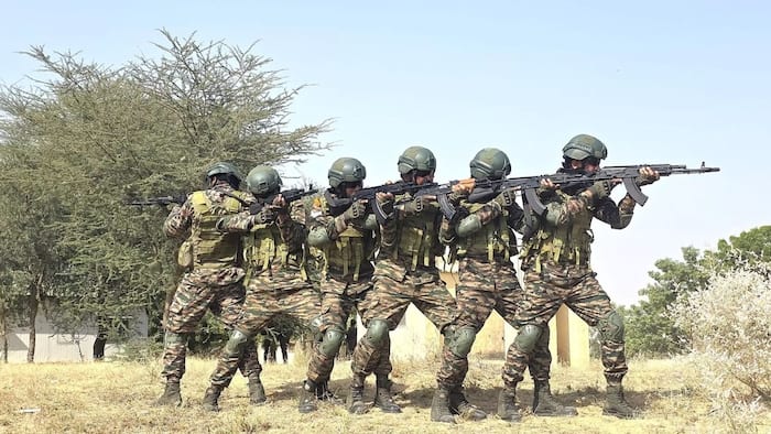 Baaz Battalions