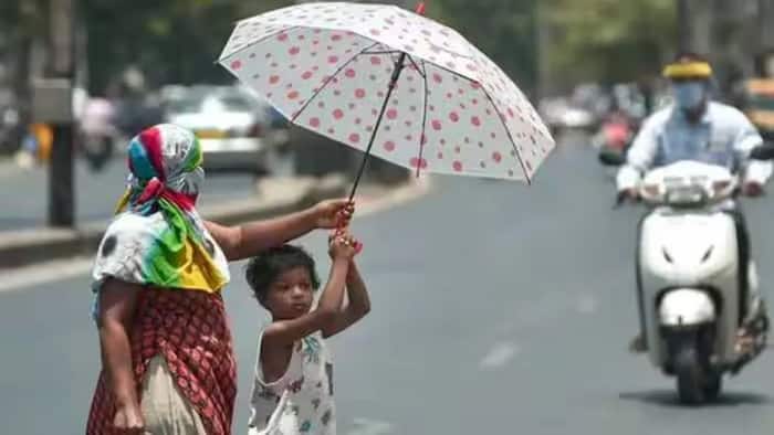 'El Nino has arrived': IMD issues warning of stronger conditions during THIS time