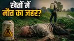 Explainer: किसानों की मौत और कीटनाशकों का कनेक्शन? क्या खेत बन रहे हैं 'टॉक्सिक जोन', आंकड़े बढ़ा रहे टेंशन
