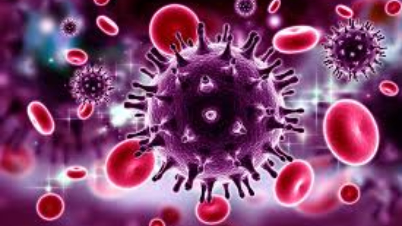 Karnataka Faces Alarming Rise in HIV Infections From Male-to-Male Transmission