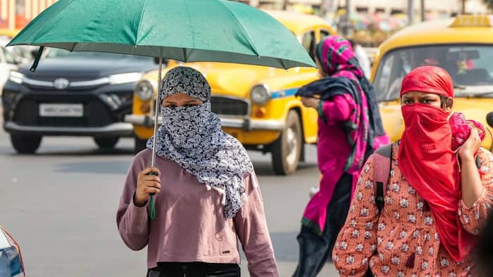 Uttar Pradesh weather forecast June 4: Thunderstorms expected in some parts, others to witness scorching heat; Check out IMD forecast for your region
