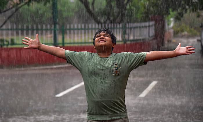 IMD Weather forecast June 20: North, Central and East India likely to witness rain and stormy conditions | Check predictions for Rajasthan, Madhya Pradesh, Chhattisgarh and Odisha