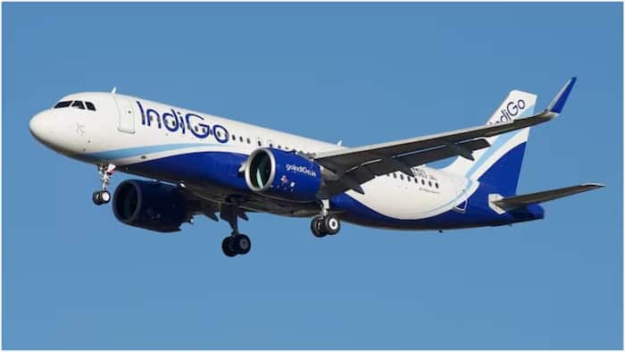 Lucknow-Delhi IndiGo flight, bomb threat, tissue paper, IndiGo flight 6E2111, IndiGo, Lucknow