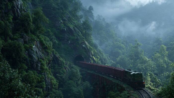 Indian frieght train on fare