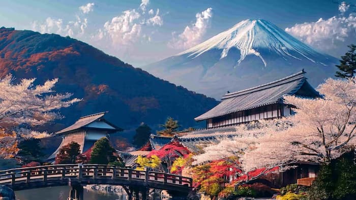 Japan Matsumae International Research Fellowship