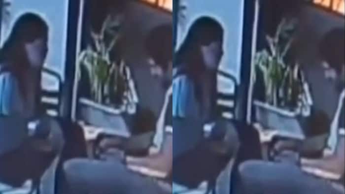 Ketan Agarwal murder case: Hours before murder, Siya and Chetan seen on a cafe date, were they planning murder? CCTV footage surfaces