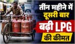 LPG Price Hike: आम आदमी को झटका! घरेलू गैस सिलेंडर के दाम 29 रुपये बढ़े- जानिये अब क्या होगी नई कीमत