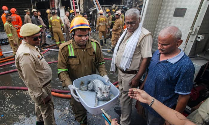 Lucknow Fire Rescue: More than 30 trapped pets saved from Aliganj Commercial Complex