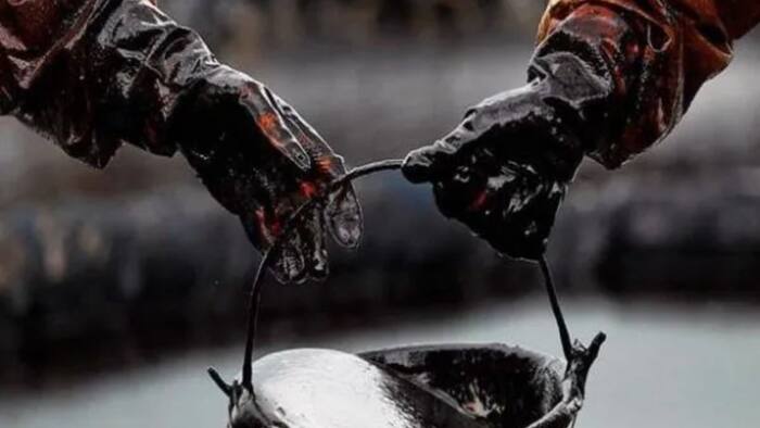Petrol DIesel Price  5