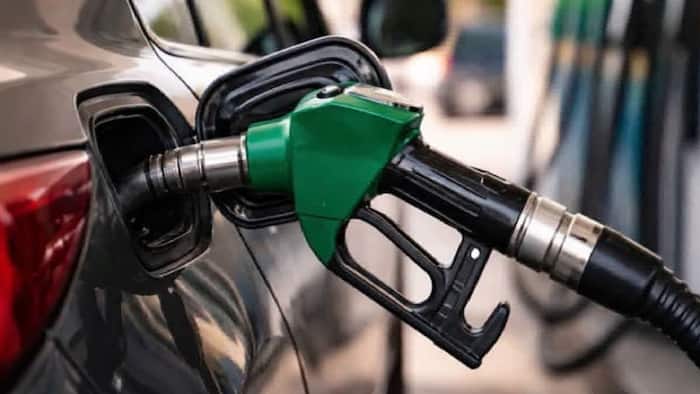 Petrol DIesel Price  8