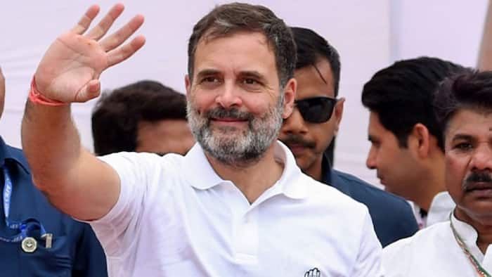 Rahul Gandhi, Leader of Opposition, Rahul Gandhi birthday, Nehru-Gandhi family, Lok Sabha, Rae Bareli, Uttar Pradesh, Indian National Congress, INC, Wayanad, Kerala, Amethi, Rajiv Gandhi, Sonia Gandhi, Congress, Priyanka Gandhi, All India Congress Committee, AICC, Indian Youth Congress, IYC, National Students Union of India, NSUI, Bharat Jodo Yatra, BJY, Bharat Jodo Nyay Yatra, BJNY, Swami Vivekananda, scuba diver, health, fitness, Aikido