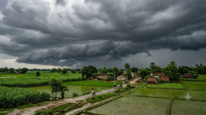 Monsoon, Uttar Pradesh, heavy rain alert, Delhi, IMD Monsoon Update, Bihar, Southwest Monsoon, Haryana, Chandigarh, Punjab, India Meteorological Department, IMD, Madhya Pradesh, Chhattisgarh, Jharkhand, Uttarakhand, Himachal Pradesh, Ladakh, Gujarat, Daman and Diu, Jammu & Kashmir, Rajasthan, Kerala, El Niño, Delhi-NCR region, Noida, Ghaziabad, Meerut, Aligarh, Agra, Muzaffarnagar, Etah, Mainpuri, Mathura, Lucknow