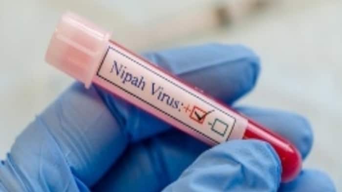 Tamil Nadu, Nilgiris, Nipah virus, Kerala, Coimbatore, Kozhikode district, Kerala-Tamil Nadu border, Thaloor, Nadugani, Nambiyarkunnu, Soladi, Pattavayal