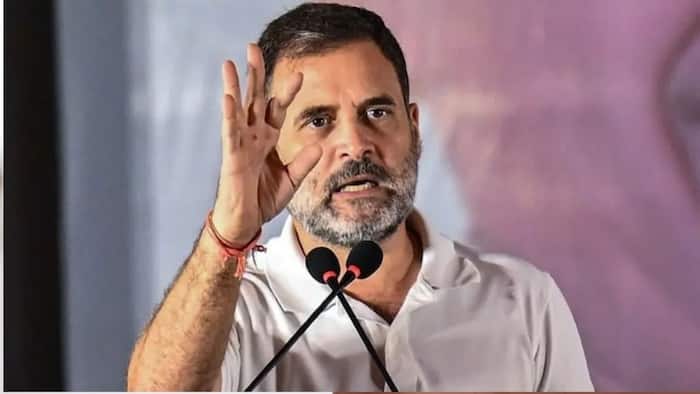 Rahul Gandhi, PM Modi, video, students, Narendra Modi, NEET paper leak, Mahabalipuram, Jantar Mantar, Jantar Mantar protest, Cockroach Janta Party, CJP
