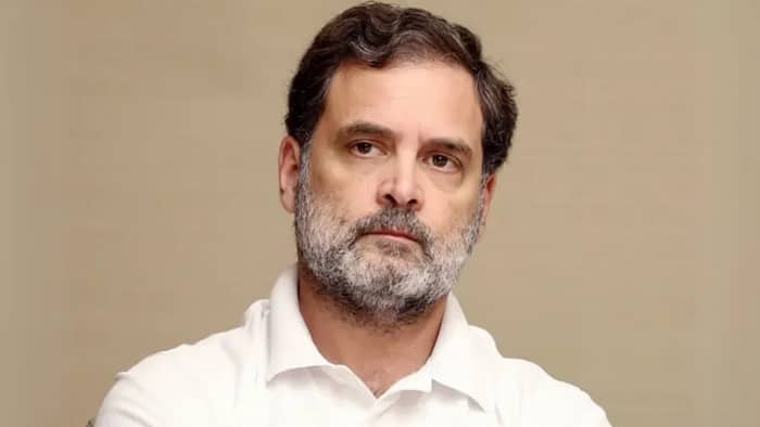 Will Rahul Gandhi get relief? Madhya Pradesh High Court set for key hearing in defamation case against Congress leader