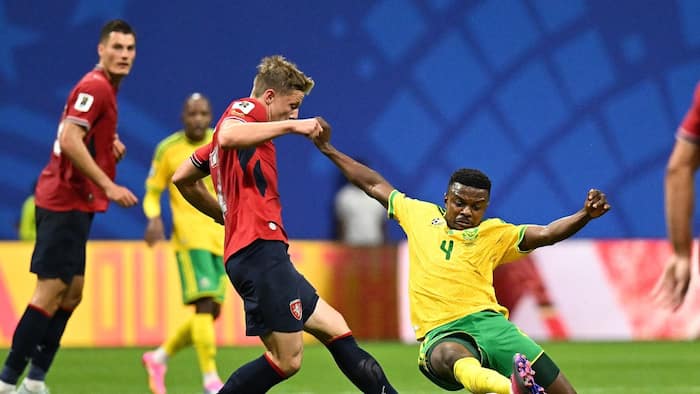 South Africa Vs Czechia