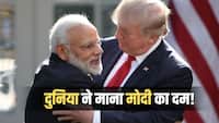 'मजबूत और दूरदर्शी नेता...', PM मोदी के 12 साल पूरे होने पर ट्रंप ने की जमकर तारीफ, क्या कुछ कहा