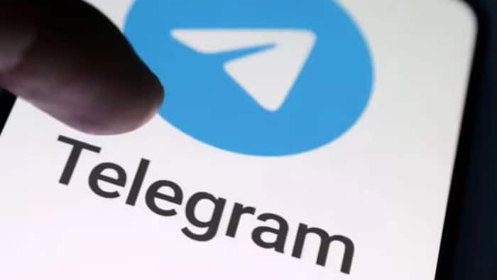 'Telegram restrictions imposed after less restrictive measures failed': Modi govt defends temporary ban in HC