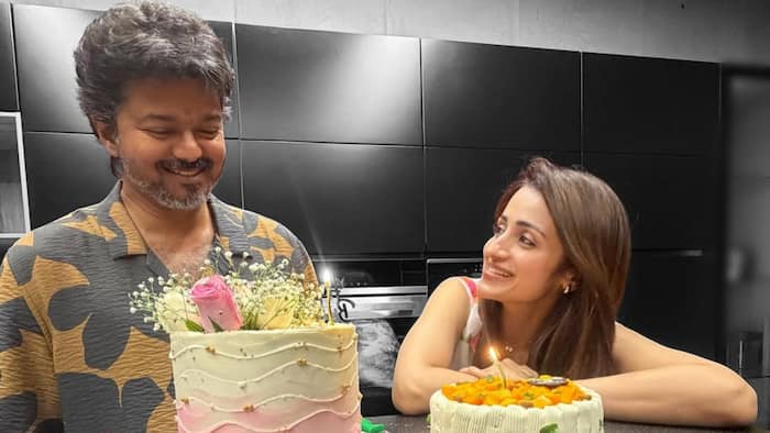 Trisha Krishnan shuts down breakup chatter through a love-filled birthday message for Tamil Nadu CM Vijay: 'To the person...'