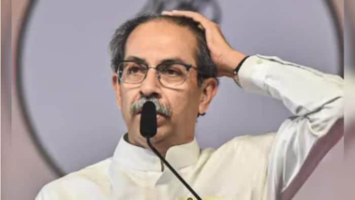 Uddhav Thackeray, Matoshree, Shiv Sena-UBT, Mumbai, Maha Vikas Aghadi, MVA, Operation Tiger, Mumbai North-East, BJP, Sanjay Dina Patil, Omraje Nimbalkar, Dharashiv, Sanjay Jadhav, Parbhani, Sanjay Deshmukh, Yavatmal-Washim, Nagesh Patil Ashtikar, Hingoli, Bhausaheb Wakchaure, Shirdi, Eknath Shinde, Shiv Sena, NCP, Maharashtra
