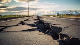 7.7 Magnitude earthquake hits off Indonesias Flores Coast, Tsunami warning issued