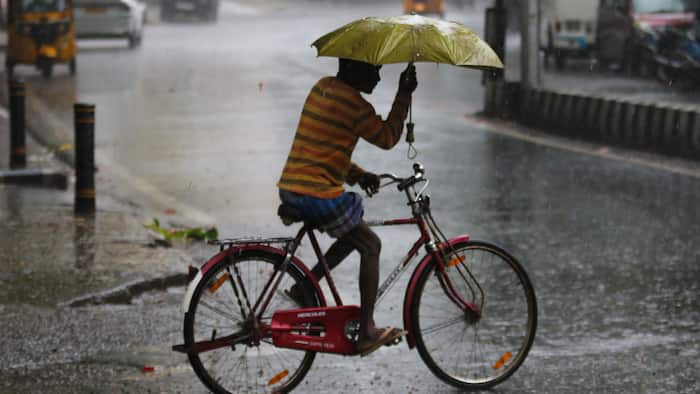 delhi weather
