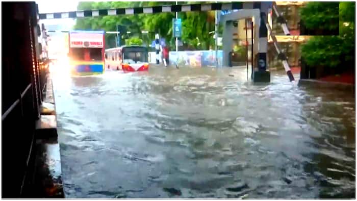 mumbai rain school closed imd weather
