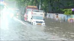 Mumbai Rains: Heavy showers flood roads, are schools, colleges closed today as IMD issues red alert? Orange alert for Thane